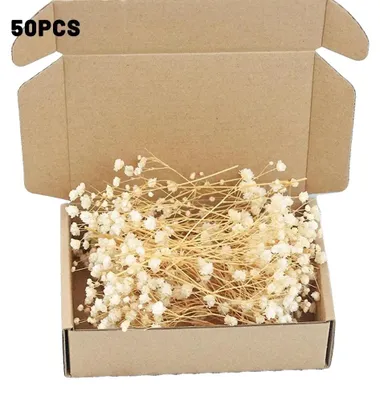 Obrázok produktu pre Gypsophila, sušené kvety, živé farby, všestranné kvetinové aranžmány, béžová