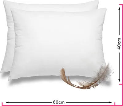 Produktbild von 2 Stück / 2er Set Federkissen 100% Federn 40x60 - 600g OEKO-TEX Kissen / Füllkissen mit Bezug aus 100% Baumwolle weiß / Innenkissen / Kissenfüllung / kleine Sofakissen (viele Maße)