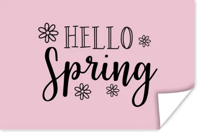 Produktbild von MuchoWow® Poster Zitat "Hallo Frühling" auf einem rosa Hintergrund 30x20 cm - Plakate - Print