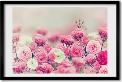 Produktbild von Bild 60x40 MDF-Rahmen, Wandkunst Blüten der wilden Rose
