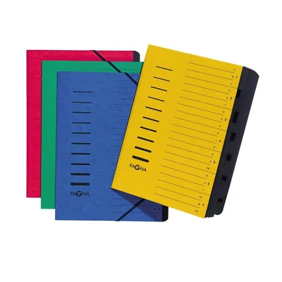 Immagine prodotto di PAGNA 24122-03 Organizzatore, DIN A4, cartone, 12 scomparti, verde