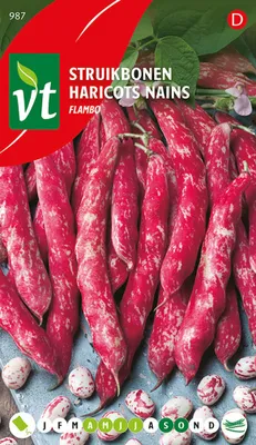 Image de Haricots Flambo Graines - Environ 40 gr | VT_987