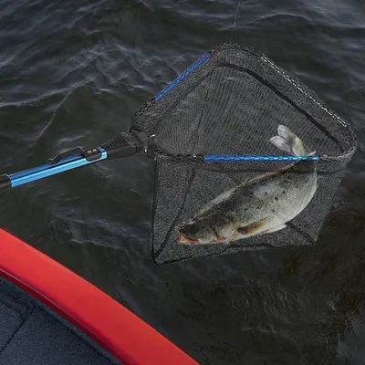 Kescher mit Teleskopstangengriff - Fischkescher - Teleskopkescher - Ausziehbar bis 90 cm - Aluminium - Ideal für Teiche