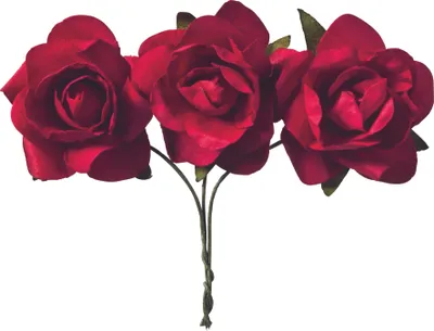 Produktbild von 6XKNORR prandell 217611001 Papierrose rot
