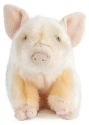 Immagine prodotto di Keycraft Living Nature Piglet, Animali di peluche