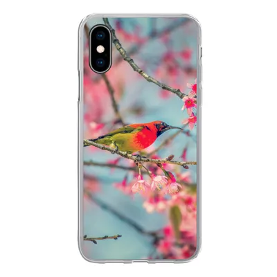Produktbild von MuchoWow® Handyhülle Schutzhülle Hülle für iPhone X Vogel - Sakura - Farben Silikon Softcase Handy Hülle - Handyhülle