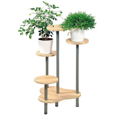 A multi-tiered plant stand with two potted plants on a white background.
