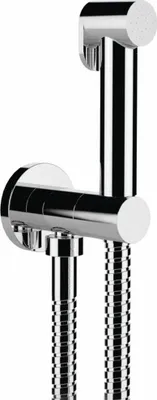 A chrome-plated bidet shower head and hose assembly mounted on a white background.