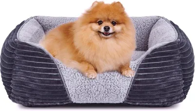 Hunde Bett Klein - Weicher Schlafplatz für deinen Hund