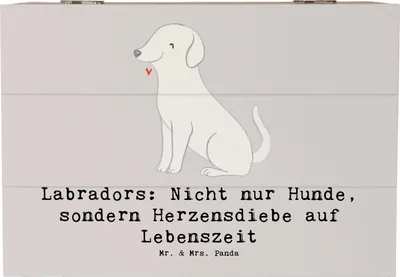 Produktbild von Mr. & Mrs. Panda Box Labrador Herzensdiebe 22 x 15 cm - Grau Pastell - Geschenk, Geschenkbox, Apportieren, Hund, Schatzkiste, Vierbeiner, geschenkkiste, treuer Begleiter