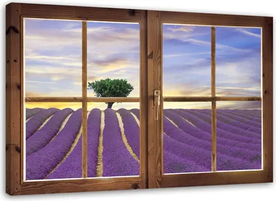 Produktbild von Leinwandbild fenster - lavendelfeld 120x80 cm Feeby lila wandbild bereit zum aufhängen