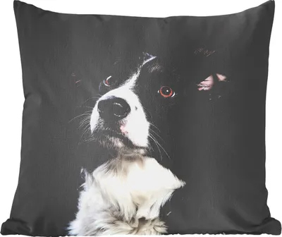 Produktbild von MuchoWow® Zierkissen Sofakissen Wohnzimmer Dekokissen 45x45 cm Porträt eines Border Collie - Schlafpolster - Polster für das Sofa