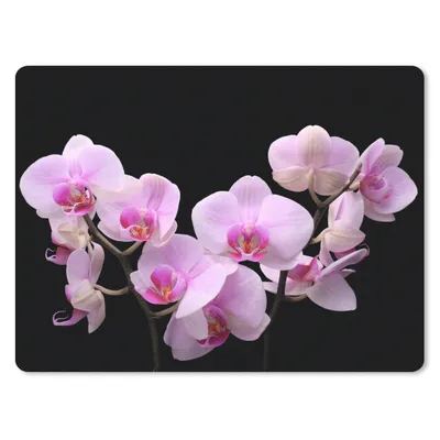 Produktbild von MuchoWow® Mauspad Mousepad Orchidee - Blumen - Rosa - Flora 40x30 cm - Mousepads - Maus Mat - Pad - Mausunterlage - Anti Rutsch