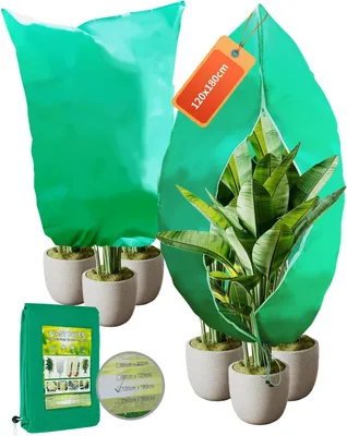 Produktbild von Winterschutz für Pflanzen 180 x 120 cm, 80 g/m², 2 Stück, für Kübelpflanzen
