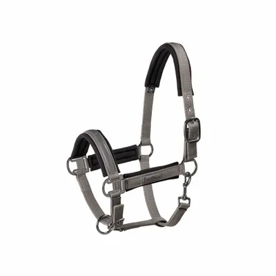 Image de Eskadron Classic Sports HW21 Pin Buckle Licol