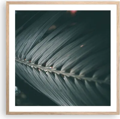 Produktbild von Gerahmtes Poster - Rahmen in heller Eiche - Blatt Palme exotisch - 60x60 cm - Wand Bild - Wanddeko - Wandbilder - Kunstposter - Wandposter - Bilderrahmen - Bilder - Kunstdruck - P2NAC60x60-4907