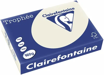 Produktbild von Clairefontaine Trophee Papier 1041C Grau 160g/m² DIN-A4 - 250 Blatt