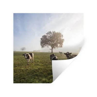 Produktbild von MuchoWow® Wandtattoo Wandsticker Wandaufkleber Kühe - Licht - Nebel 50x50 cm Selbstklebend und Repositionierbar - Selbstklebend - Fototapeten