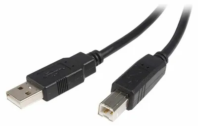 Image de Startech USB A to USB B Kabel USB2HAB1M Noir