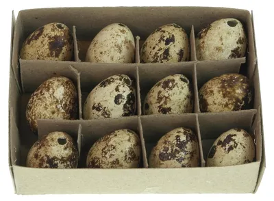 Produktbild von Wachteleier 12 Stück 3 cm in Fensterbox - Annas collection