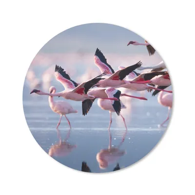 Produktbild von MuchoWow® Mauspad Mousepad Flamingo - Vogel - Wasser - Rosa 40x40 cm - Mousepads - Maus Mat - Pad - Mausunterlage - Schreibtisch Accessoires