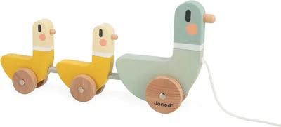 Immagine prodotto di Giochi educativi - Multicolore (J04051)