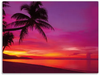 Produktbild von Wallario Glasunterlage, Schneidebrett aus Glas, Größe 30 x 40 cm, Motiv Abendrot unter Palmen - pinker Himmel am Strand