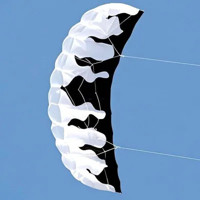 Productafbeelding van Parachute vlieger - Sportvlieger Lama - Strandspelletjes - Scheurbestendig polyester - 206 x 75 cm - Rood