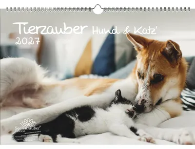 Produktbild von Tierzauber Hund und Katz DIN A3 Kalender für 2027 Freundschaften Hund Katze - Seelenzauber