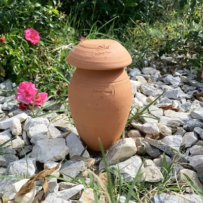 Image de Ollas ORIGIN d'irrigation - 0,5 L