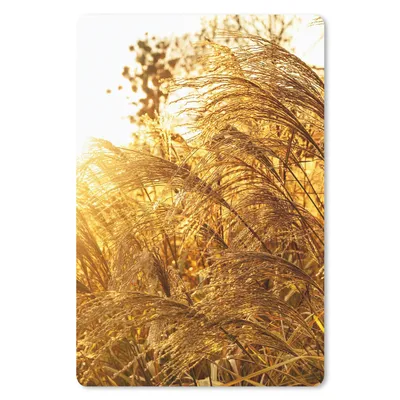 Produktbild von MuchoWow® Mauspad Mousepad Pampasgras - Sonne - Gras 18x27 cm - Mousepads - Maus Mat - Pad - Mausunterlage