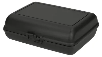 Obrázok produktu pre Ekologický úložný box "Switch" - udržateľný box na obed s uzáverom na kliknutie, ideálny box na obed pre deti v prírodných farbách Bez BPA a vyrobené v Nemecku - bridlicový