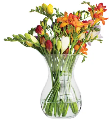 Immagine prodotto di Omgoods - Vaso di vetro trasparente per fiori