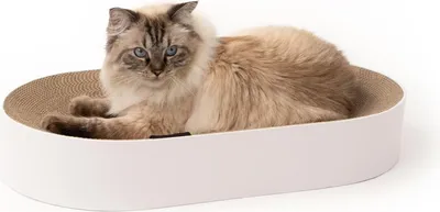 Produktbild von Design-Kartonbett - SCRATCHBED