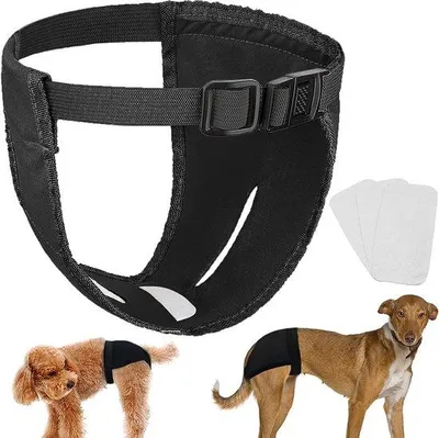 Image de Lot de 3 pantalons lavables pour chiens, comprenant 9 pièces de pantalons noirs pour chiens