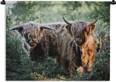 Produktbild von MuchoWow® Wandteppich Wandbehang Schottische Highlander - Wald - Tiere 120x90 cm Tapisserie Dekoration Wandtuch - Wohnen - Aufhänger für die Wand