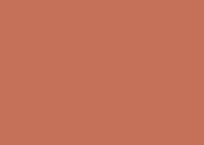 Produktbild von Tonpapier 130g/qm 50x70cm terracotta Packung mit 10 Stück