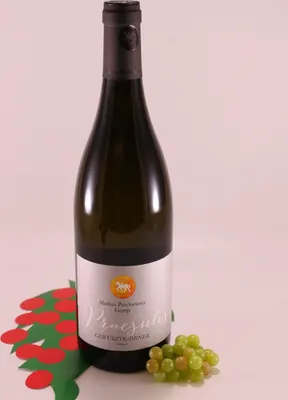 Produktbild von Gewürztraminer Praesulis - 2024 - Gumphof