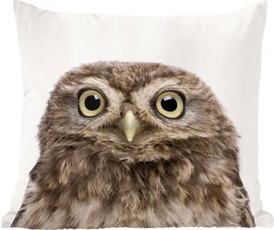 Produktbild von MuchoWow® Zierkissen Sofakissen Wohnzimmer Dekokissen 45x45 cm Tiere - Eule - Weiß - Schlafpolster - Polster für das Sofa