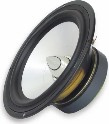 Zdjęcie produktu dla Głośnik niskotonowy KENFORD DYG-820A, 80 W, biały