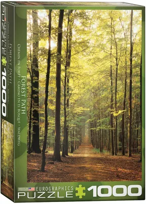 Produktbild von 1000 Teile Puzzle - Puzzle - Sonnendurchfluteter Waldweg + Puzzle Zubehör