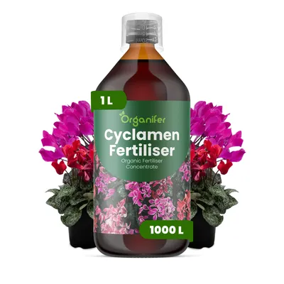 Produktbild von Alpenveilchen Flüssigdünger 1L – 2-1-8 NPK – Flüssigdünger Für Blühpflanzen – Für Blätter & Üppige Blüte – Fördert Wurzeln & Vitalität – Organifer