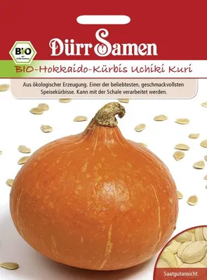 Produktbild von Hokkaido-Kürbis Uchiki Kuri | -Hokkaido-Kürbissamen von Dürr Samen