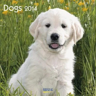 Produktbild von Wandkalender Dogs 2014 Broschürenkalender