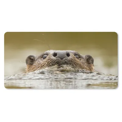 Produktbild von MuchoWow® Mauspad Mousepad Otter schwimmt 60x30 cm - Mousepads - Maus Mat - Pad - Mausunterlage - Nachhaltig