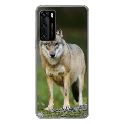 Produktbild von MuchoWow® Handyhülle Schutzhülle Hülle für Huawei P40 Wolf - Asien - Pflanzen Silikon Softcase Handy Hülle - Handytasche