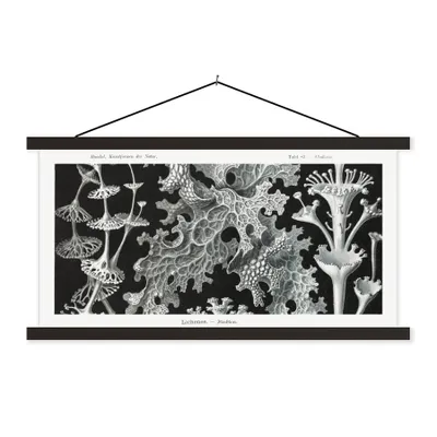 Produktbild von MuchoWow® Textilposter Kunst - Koralle - Ernst Haeckel - Alte Meister - Natur 150x75 cm mit schwarzem Rahmen - Posterleiste