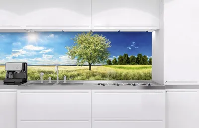 Wallario Glas-Küchenrückwand 90x60cm – Motiv Elefant Afrika, ESG-Sicherheitsglas