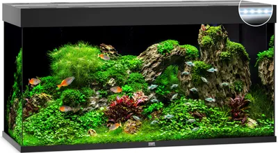 Produktbild von Aquarium JUWEL Rio 350 mit LED-Beleuchtung, Pumpe, Filter, Heizer ohne Unterschrank schwarz