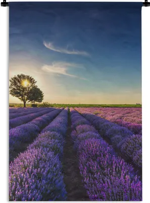 Produktbild von MuchoWow® Wandteppich Wandbehang Lavendel - Sonne - Baum - Blumen - Lila 60x90 cm Tapisserie Dekoration Wandtuch - Foto-Teppich - Abwaschbar